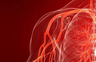 Dr. Sidney Tadeu Denari - Foto 1