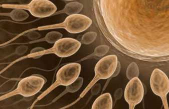 Laboratório de Análises Clínicas Laborcenter Ltda - Foto 1