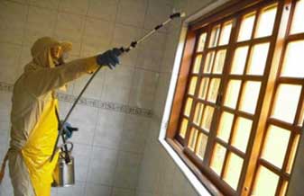 Alpha Dedetização - Foto 1