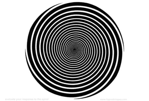 Noeliza Bianchini Salomão - Foto 1