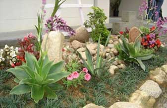 Vitha Flora Jardinagem - Foto 1