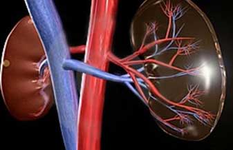 Dr. Marco Aurélio Mestrinel - Foto 1