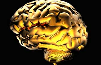 Antônio C. Vieira - Foto 1