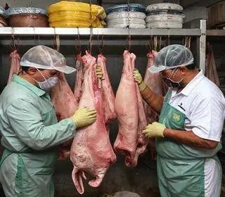 Vigilância Sanitária