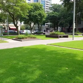 limpeza e corte de mato em áreas públicas