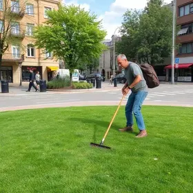 limpeza e corte de mato