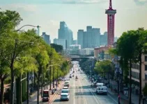 Rio Claro: funcionamento dos serviços públicos sofre alterações no Ano Novo