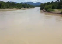 turbidez no Corumbataí