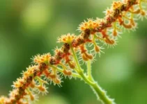 Concurso UNESP Rio Claro Pesquisador IV