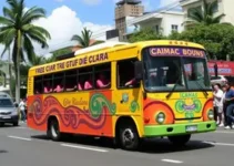 ônibus gratuitos Rio Claro