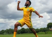 Vaguinho Santos Rio Claro