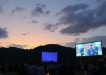 Cine ao Luar