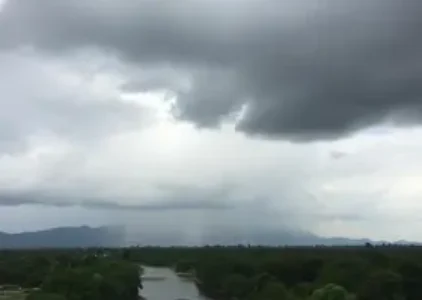 Últimas noticias de Rio Claro