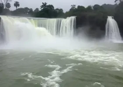 Últimas noticias de Rio Claro