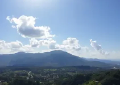 Últimas noticias de Rio Claro