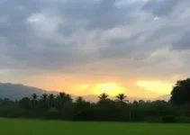 previsão do tempo Rio Claro