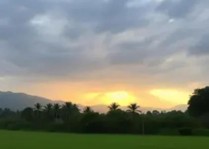 Últimas noticias de Rio Claro