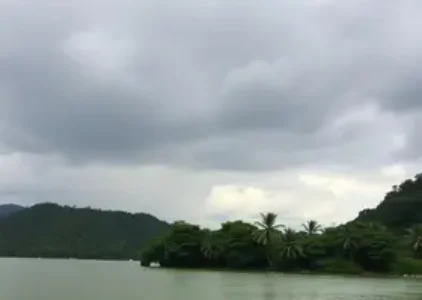 Últimas noticias de Rio Claro