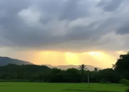 Últimas noticias de Rio Claro
