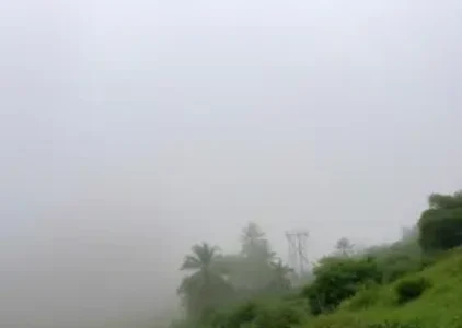 Últimas noticias de Rio Claro
