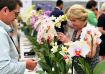 Encontro dos Amigos Orquidófilos