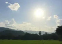 Rio Claro