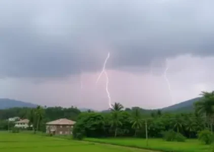 Últimas noticias de Rio Claro