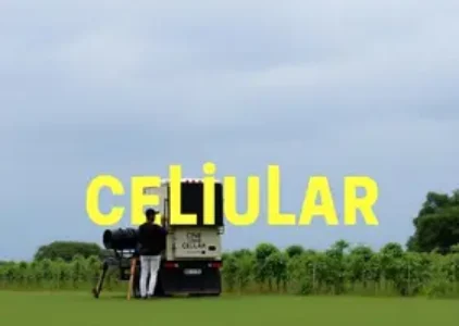 Últimas noticias de Rio Claro