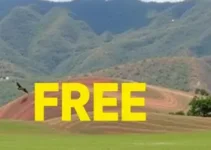 cursos gratuitos