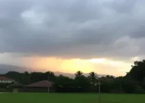 Rio Claro