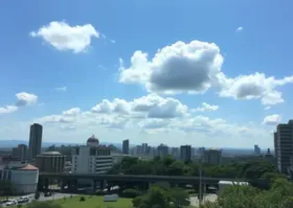 Últimas noticias de Rio Claro