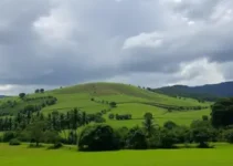 Rio Claro