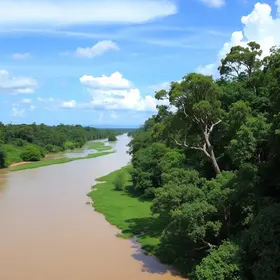 amazonas de Barretos e Rio Claro nos Três Tambores