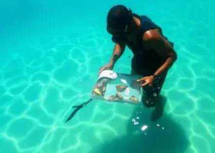 Últimas noticias de Rio Claro
