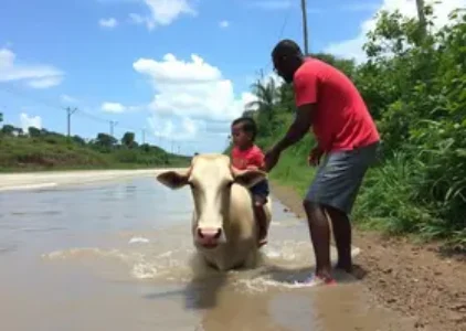 Últimas noticias de Rio Claro