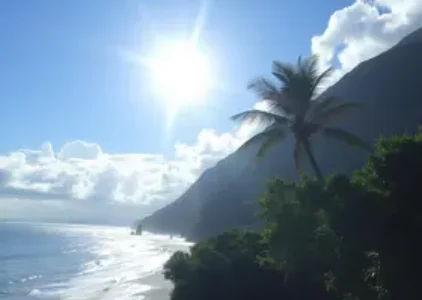 Últimas noticias de Rio Claro