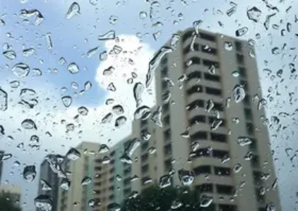 Últimas noticias de Rio Claro