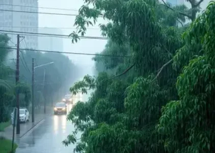 Últimas noticias de Rio Claro