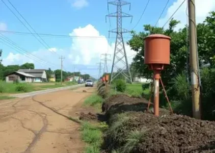 Últimas noticias de Rio Claro