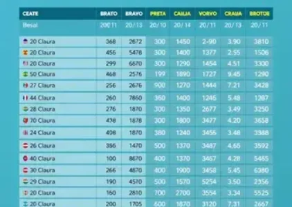 Últimas noticias de Rio Claro