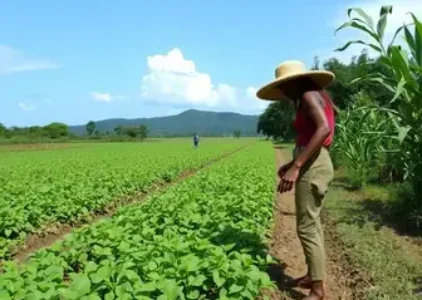 Últimas noticias de Rio Claro