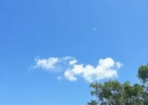 previsão do tempo em Rio Claro